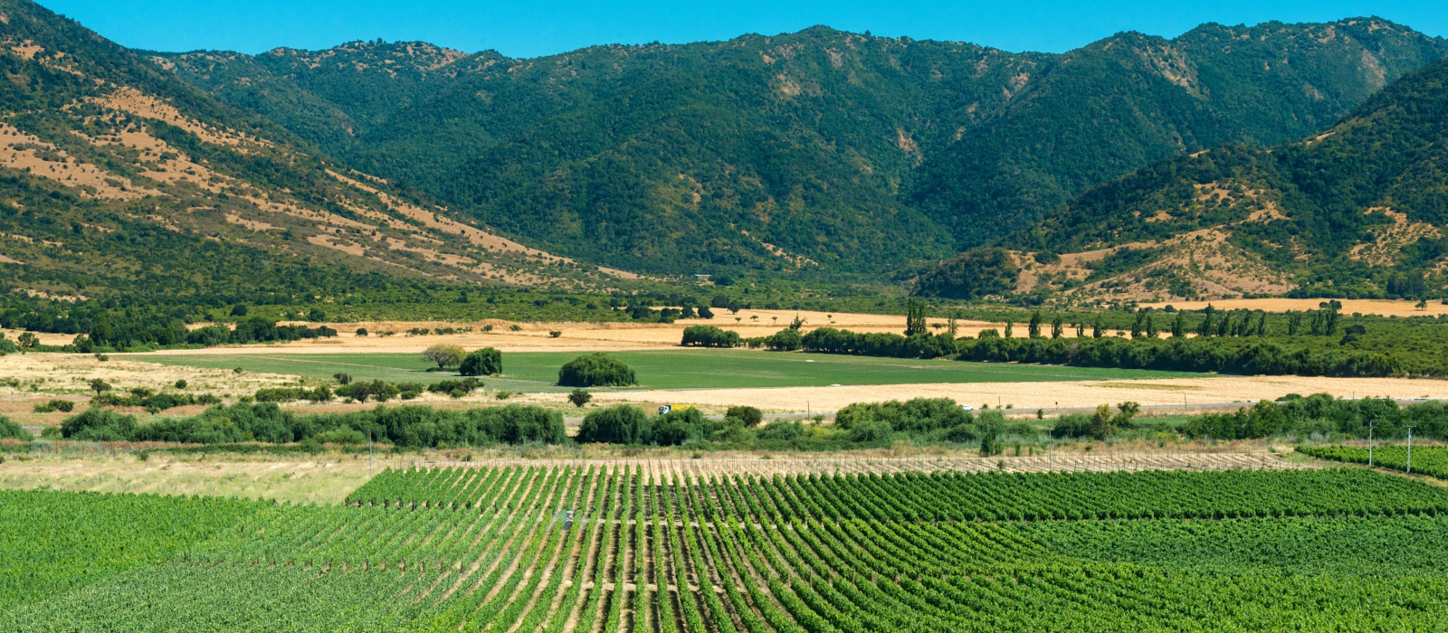 CHILE’S WINE VALLEYS