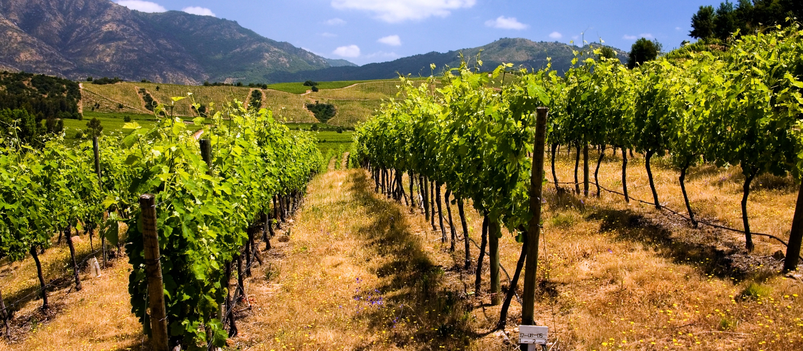 CHILE’S WINE VALLEYS