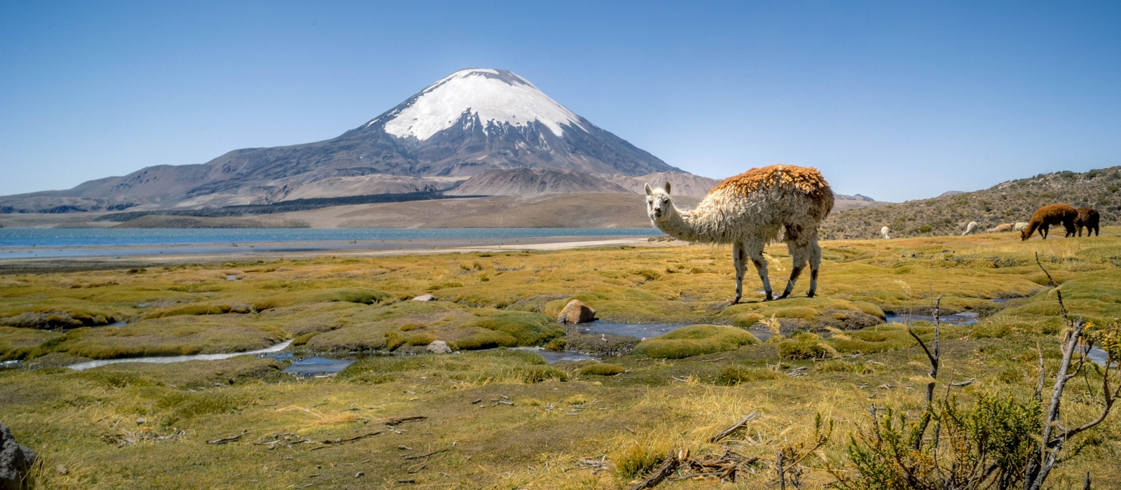 CLASSIC CHILE AND EASTER ISLAND
