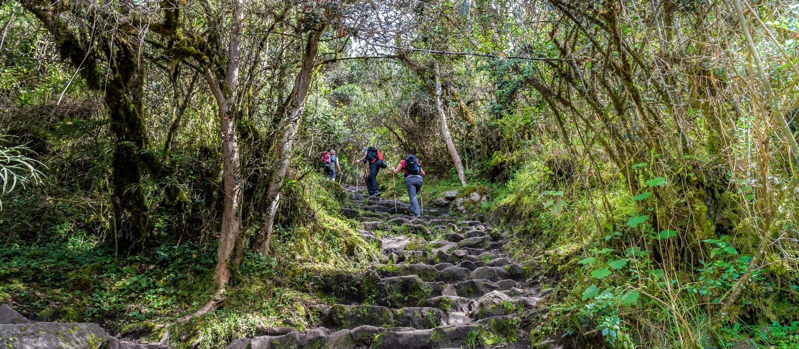 Classic Inca Trail