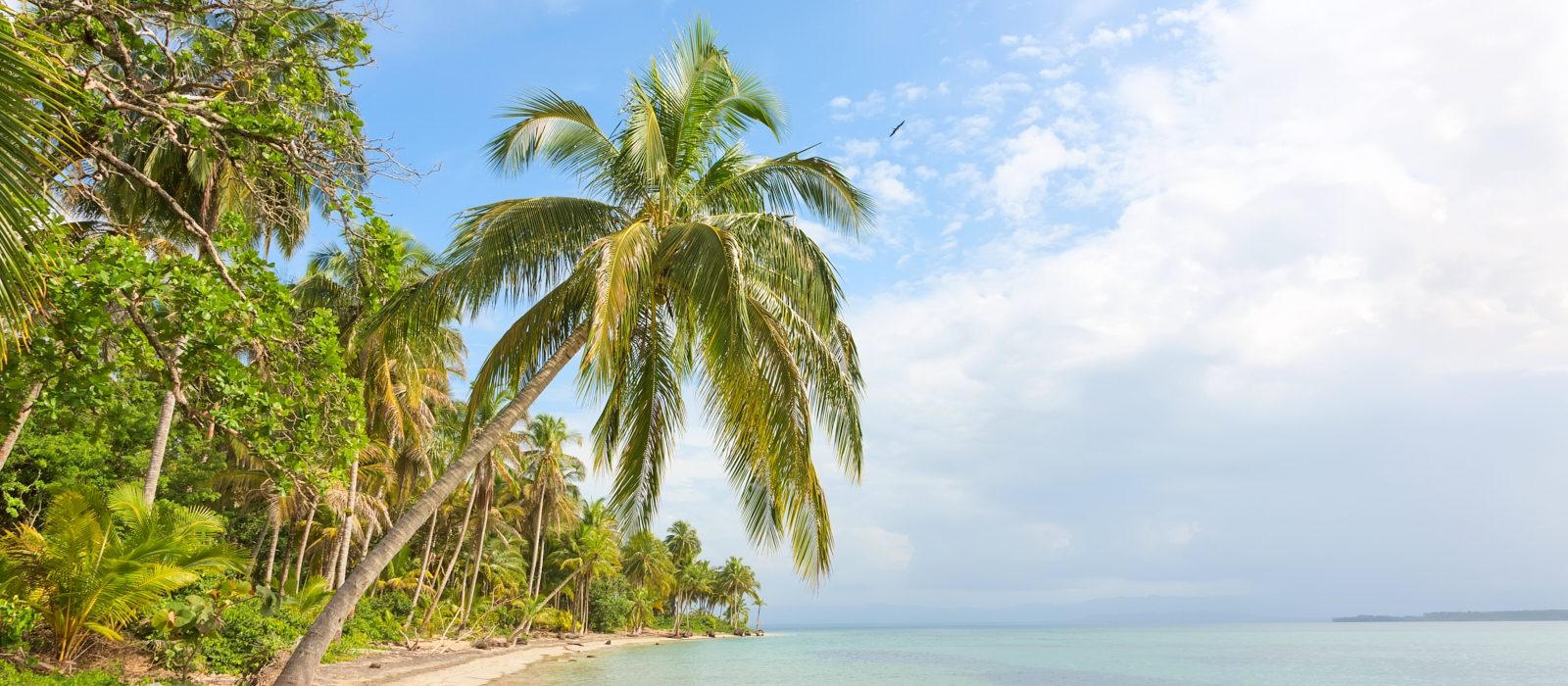 CLASSIC PANAMANIAN HIGHLIGHTS