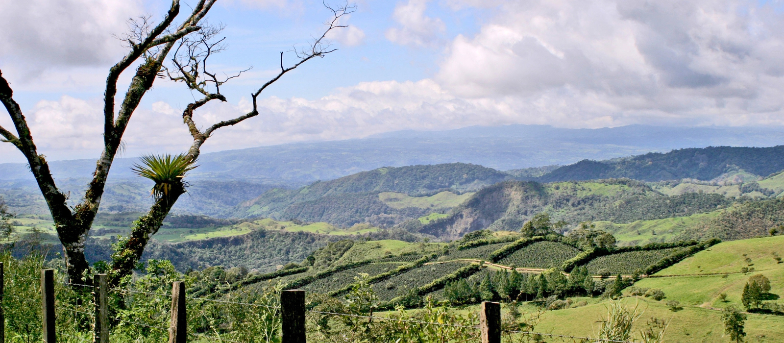 CLASSIC PANAMANIAN HIGHLIGHTS