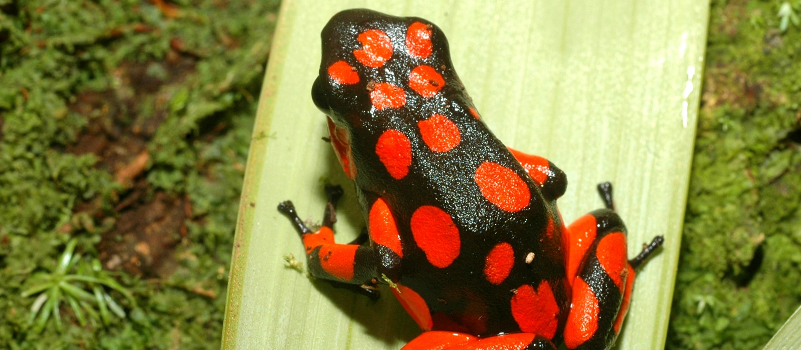 COLOMBIAN NATURE- MULTI-DESTINATION