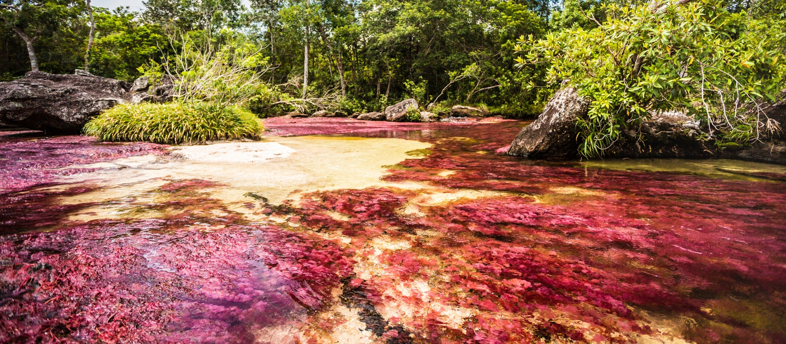 COLOMBIAN NATURE- MULTI-DESTINATION