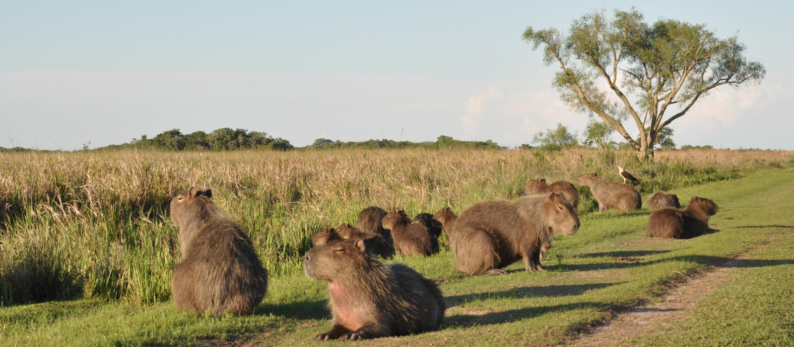 CULTURALLY and NATURALLY ARGENTINA