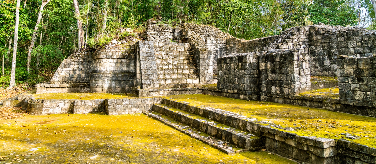 Discovering  Campeche
