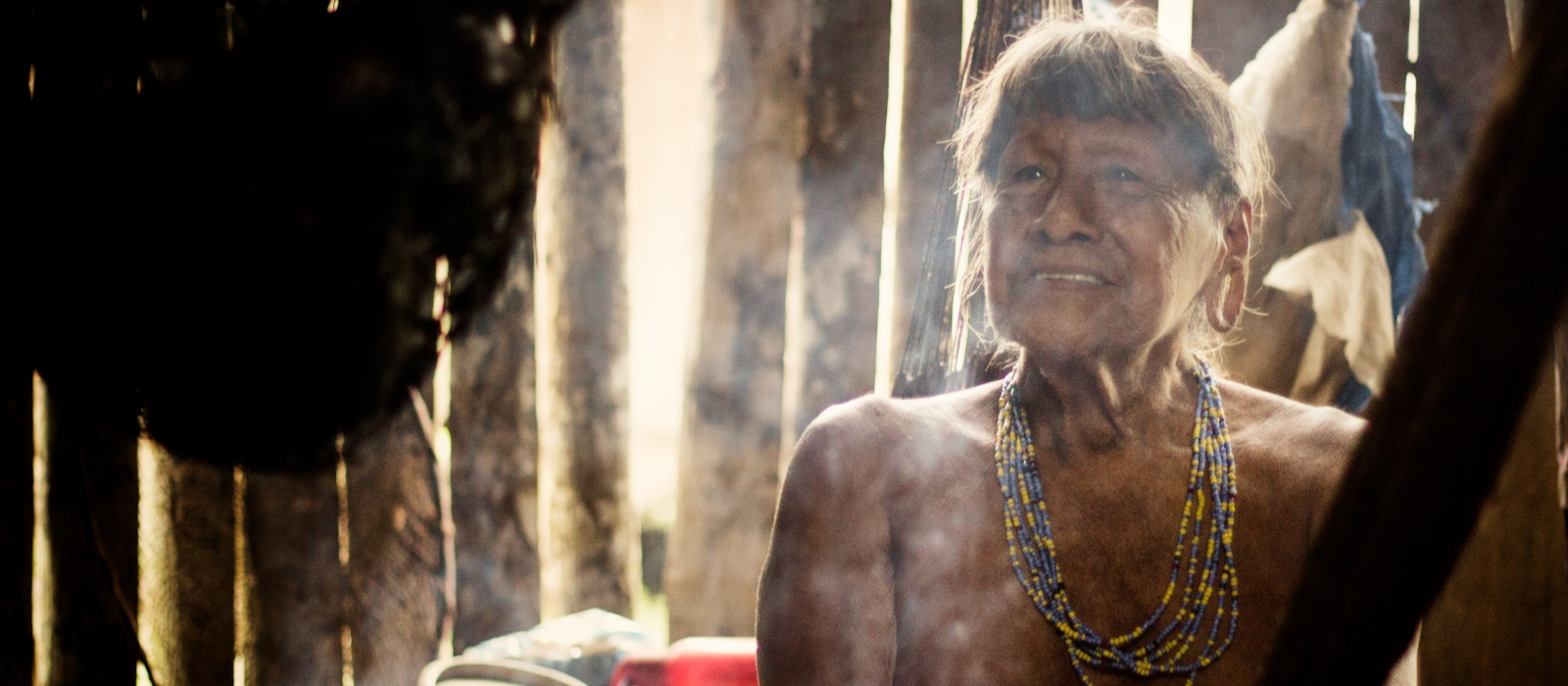 FROM THE ANDES TO THE AMAZON