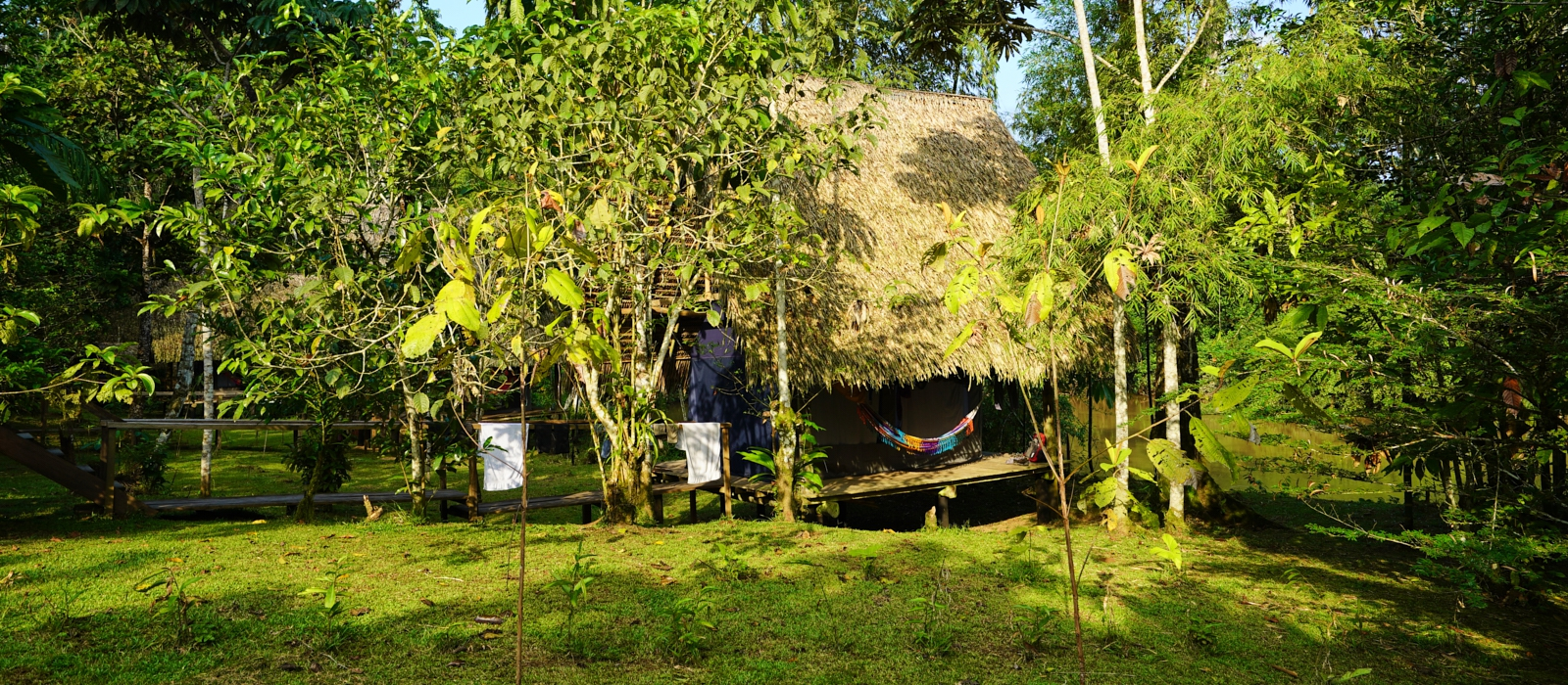 FROM THE ANDES TO THE AMAZON