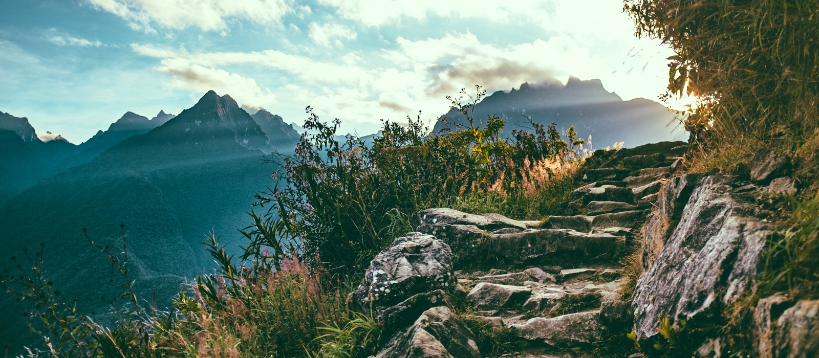 FROM THE ANDES TO THE AMAZON