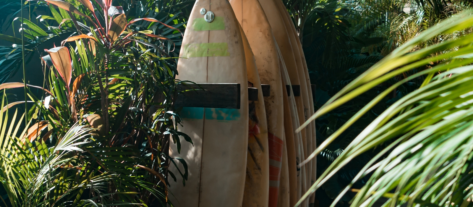 Guanacaste: Volcanos and Beaches