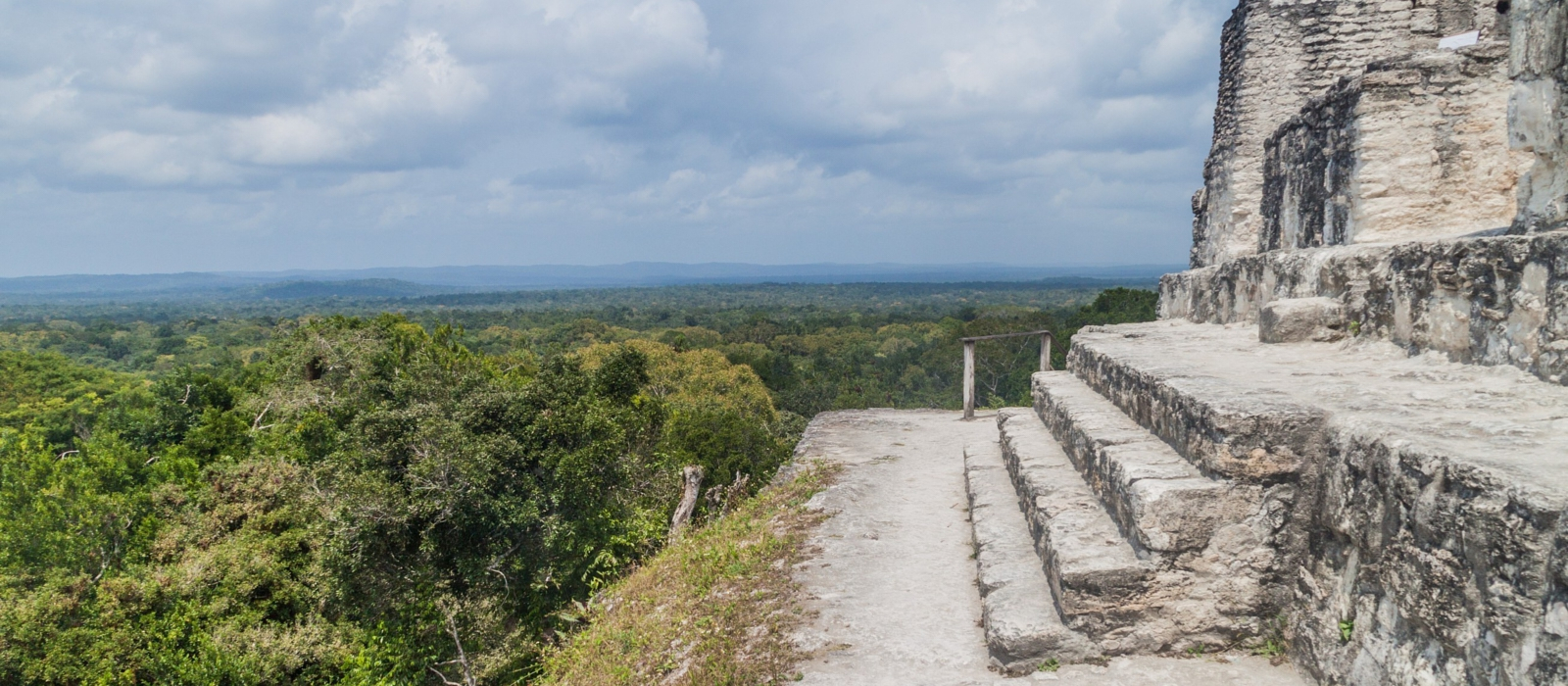 Guatemalan Perspectives