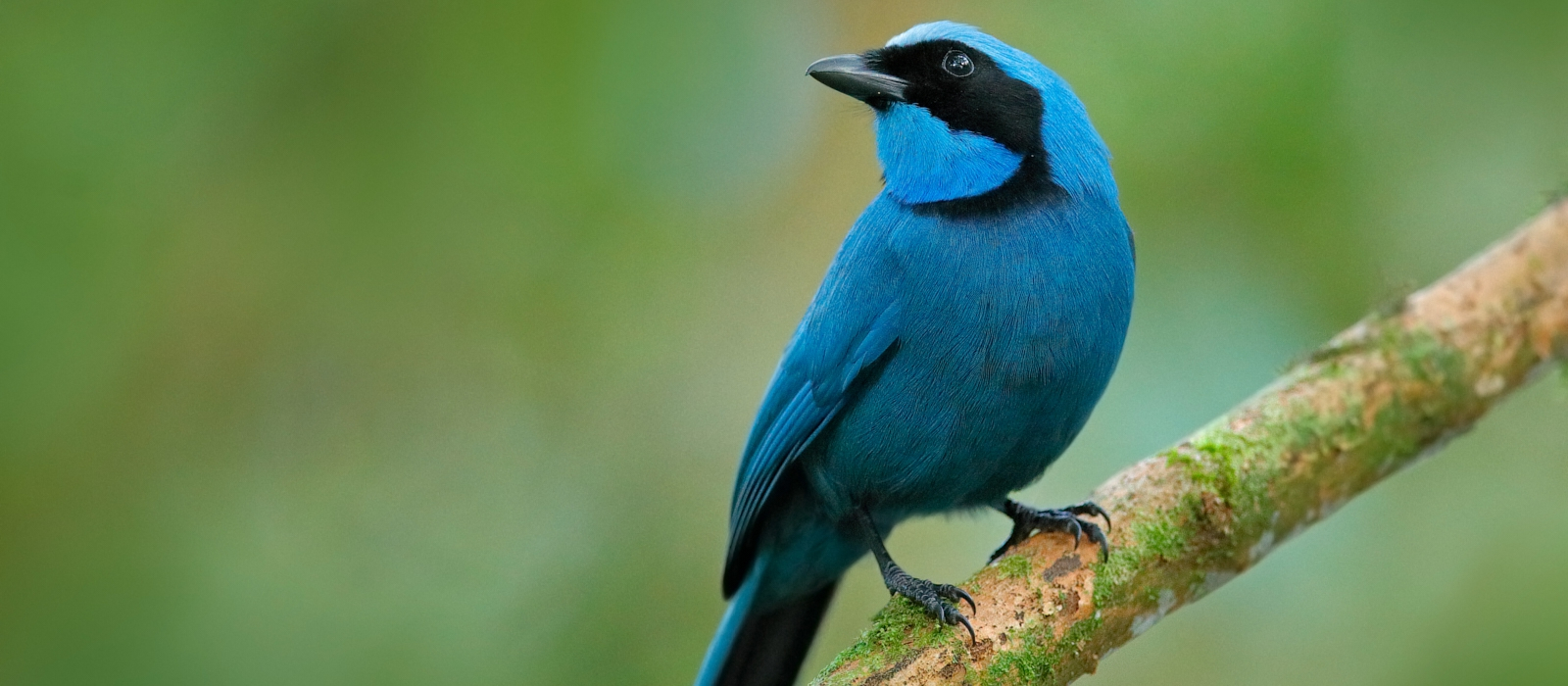 HIGH-END HIGHLIGHTS OF ECUADOR