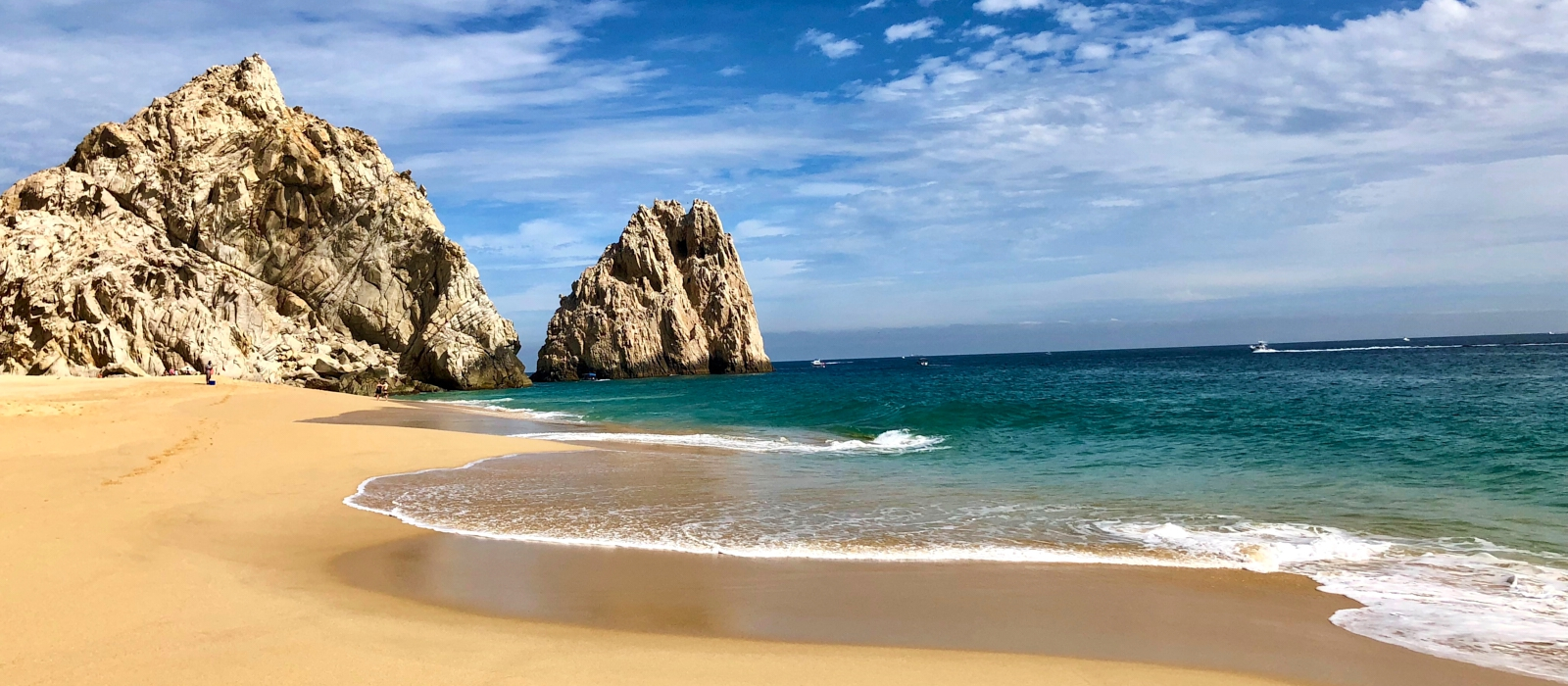 Los Cabos Whale Shark Adventure