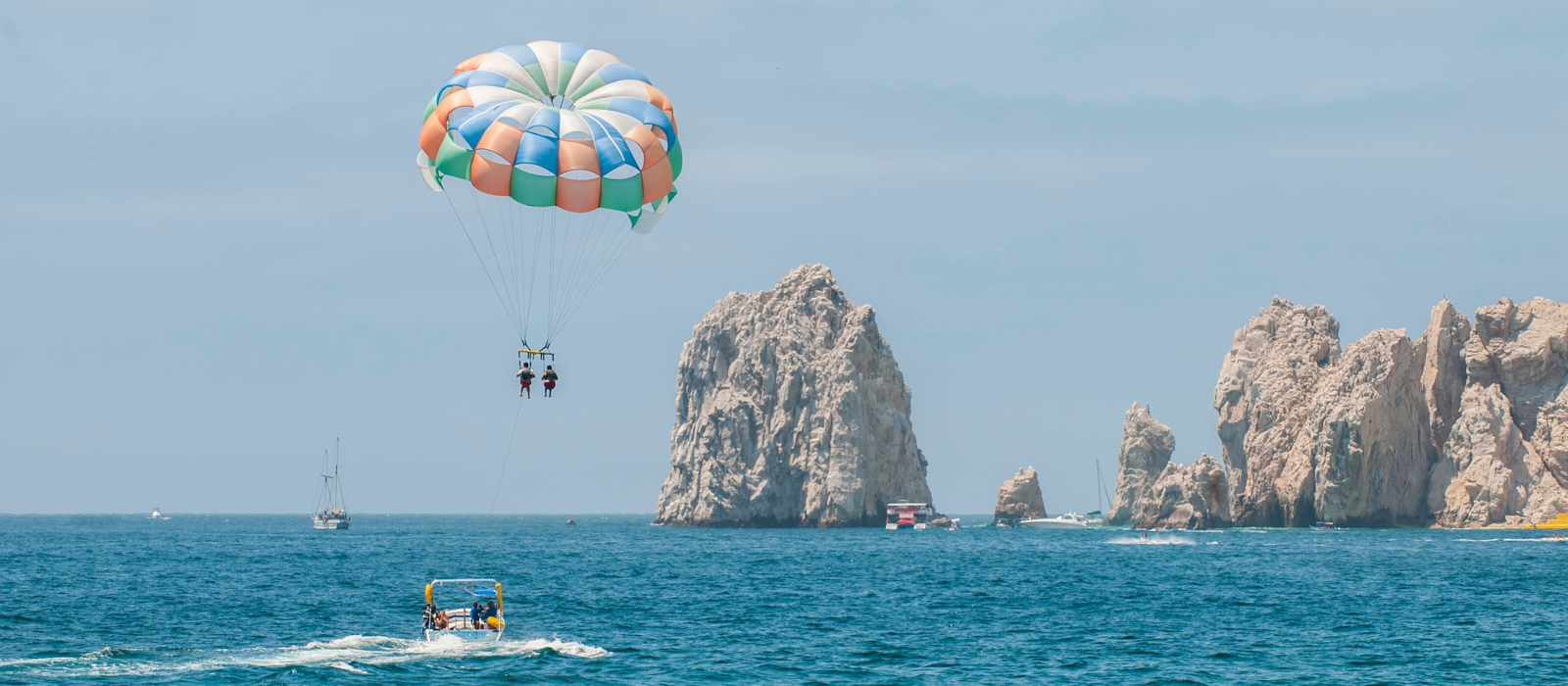Los Cabos Whale Shark Adventure