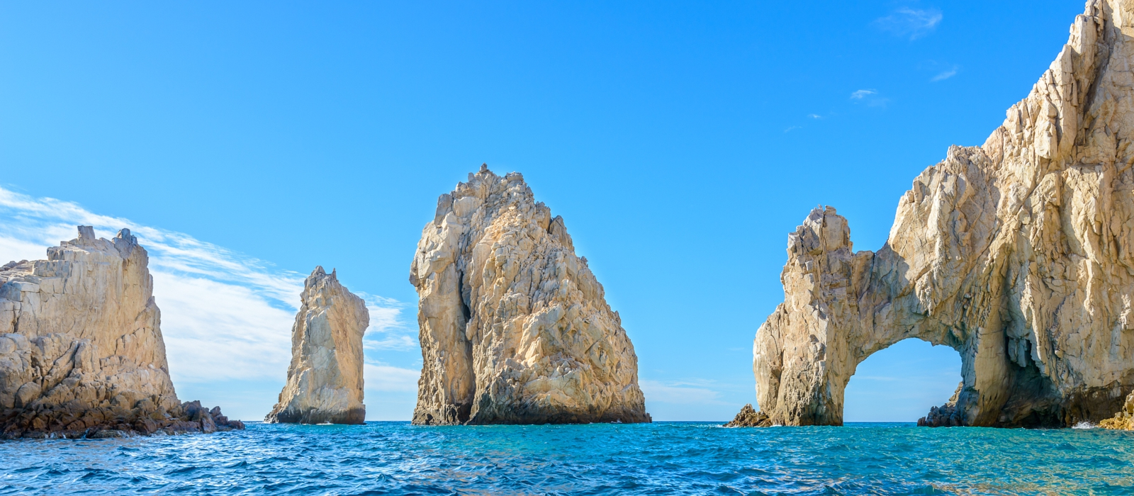 Los Cabos Whale Shark Adventure
