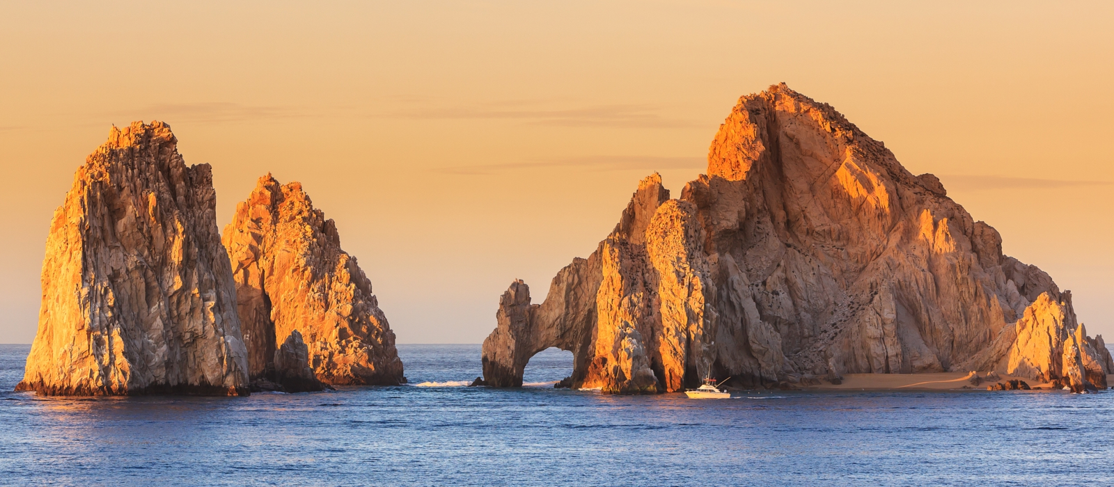 Los Cabos Whale Shark Adventure