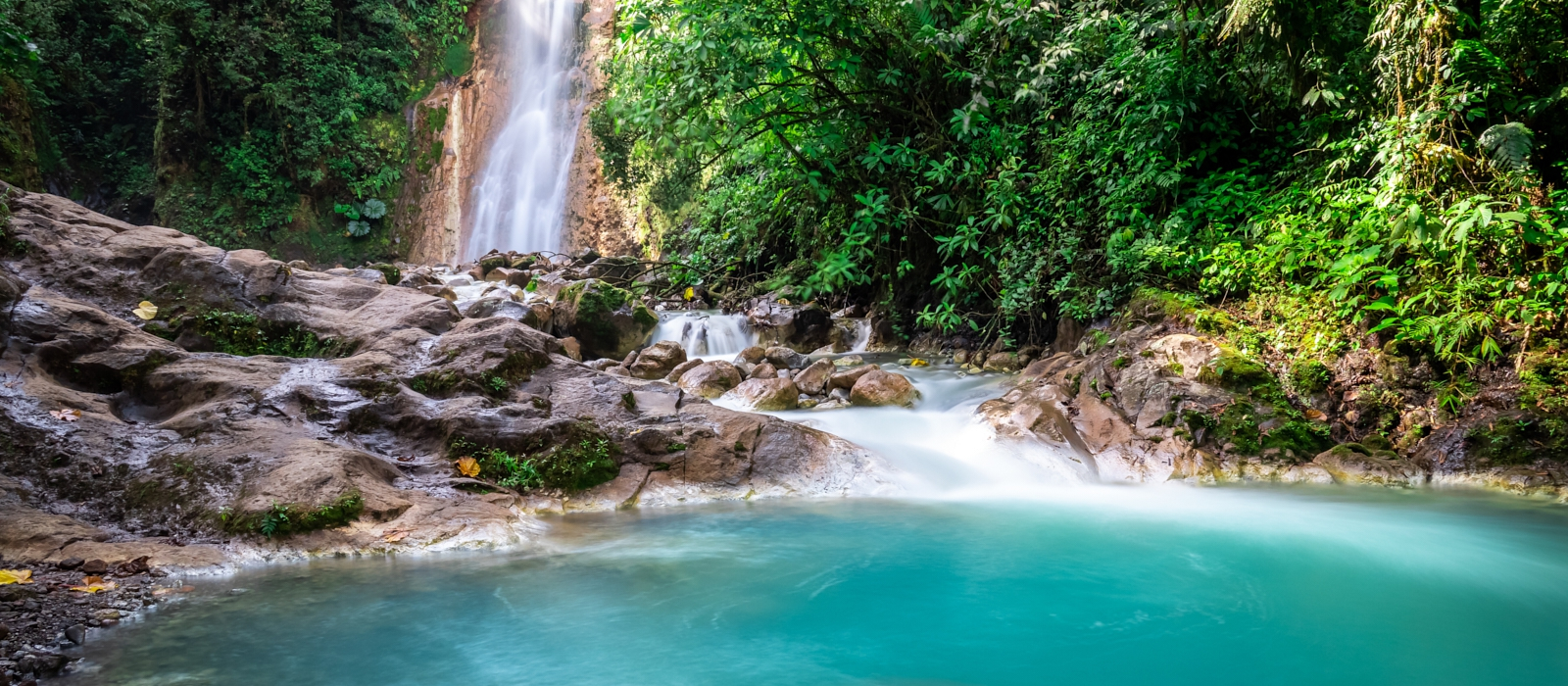 Luxurious Ecology- Costa Rica