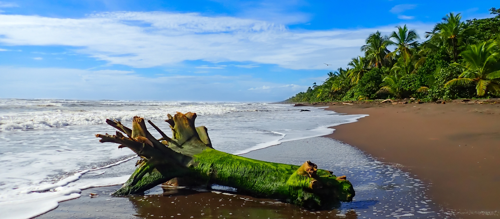 Luxurious Ecology- Costa Rica
