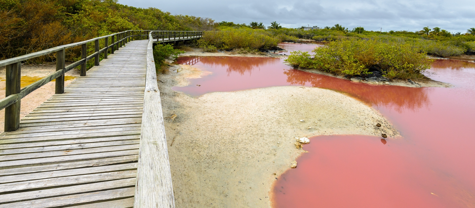 LUXURY 5 DAY GALAPAGOS