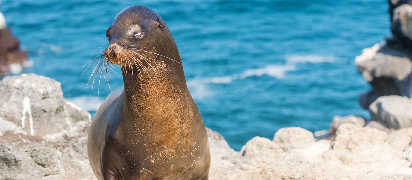 LUXURY 5 DAY GALAPAGOS