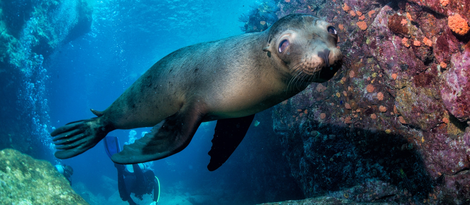 LUXURY 5 DAY GALAPAGOS