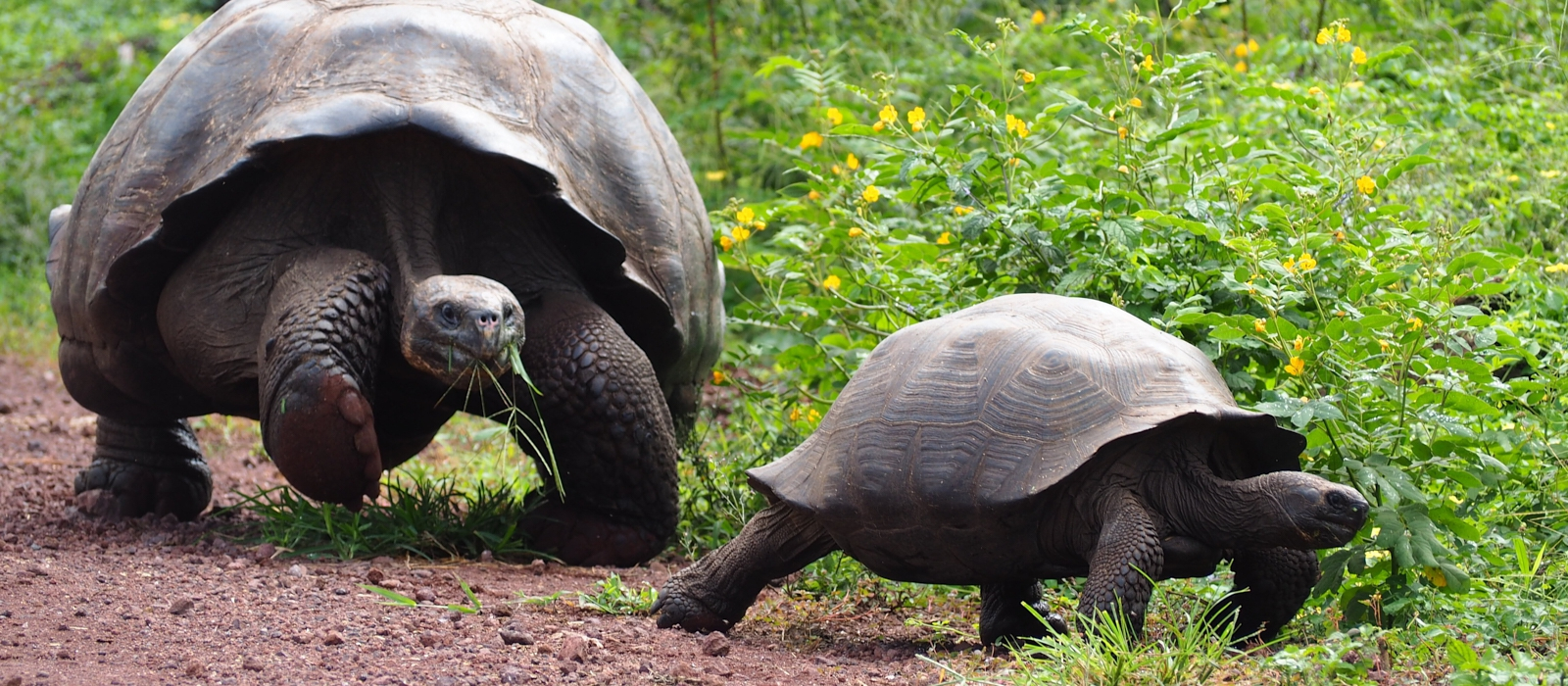 LUXURY 5 DAY GALAPAGOS