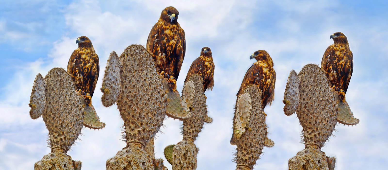 LUXURY GALAPAGOS AND AMAZON ADVENTURE
