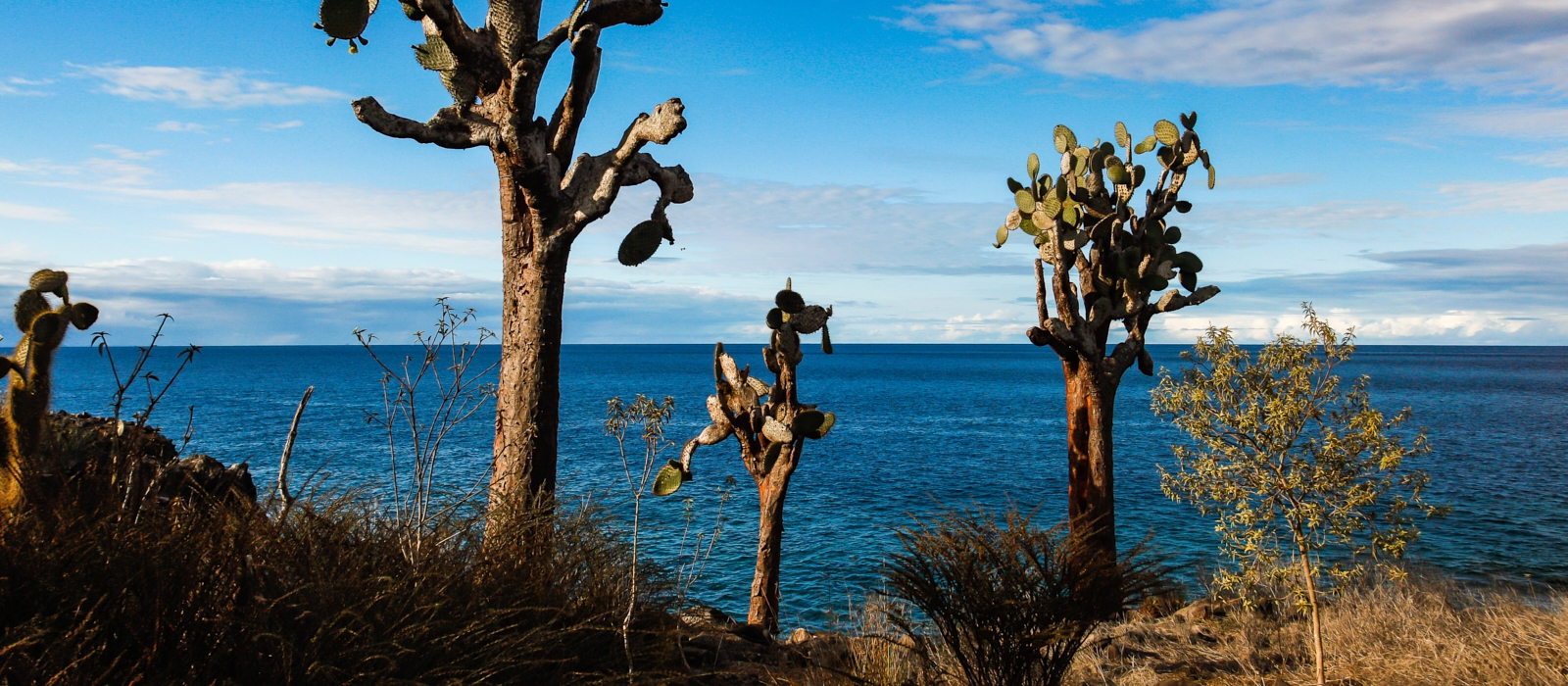 LUXURY GALAPAGOS AND AMAZON ADVENTURE