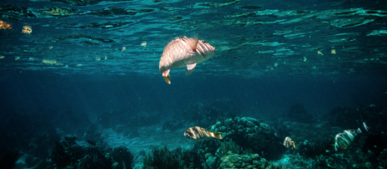 Luxury Guatemala And Belize