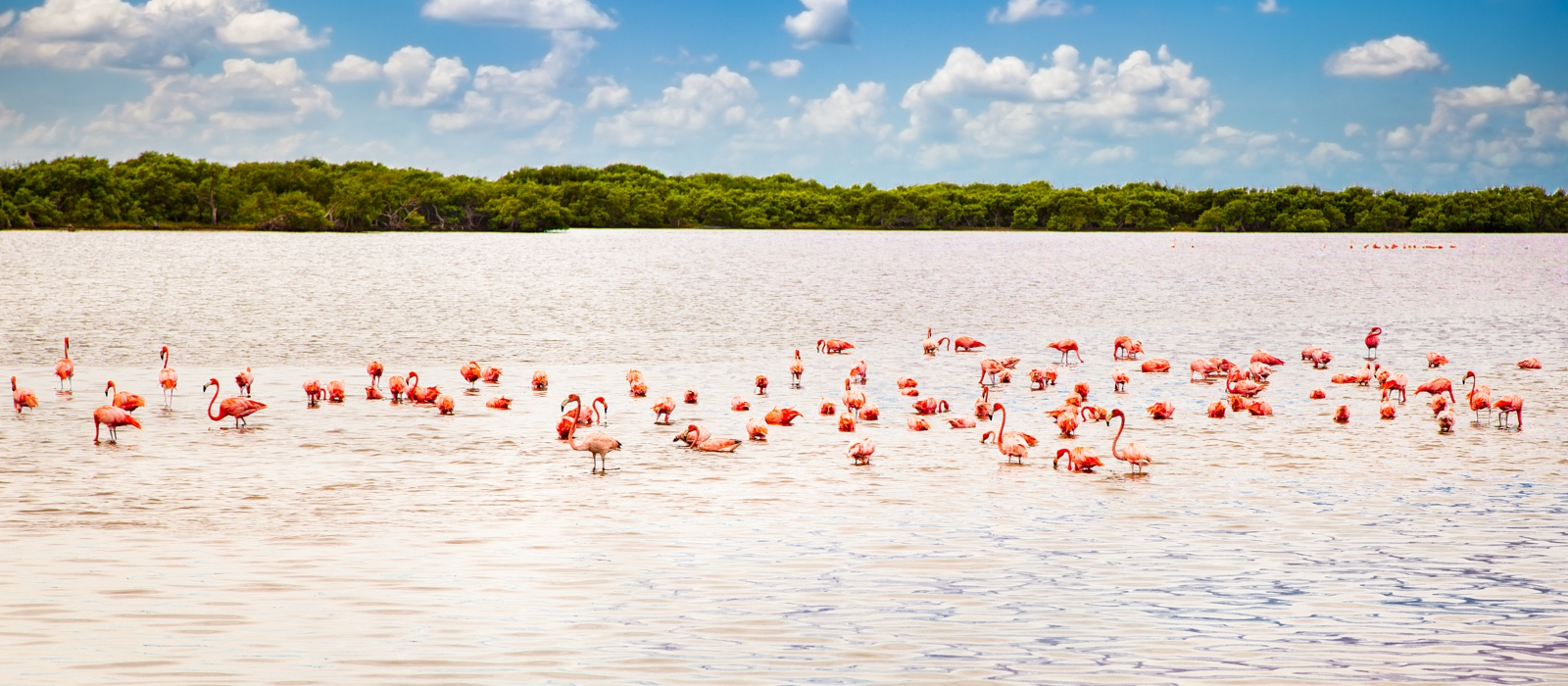 Merida And The Mayan Riviera