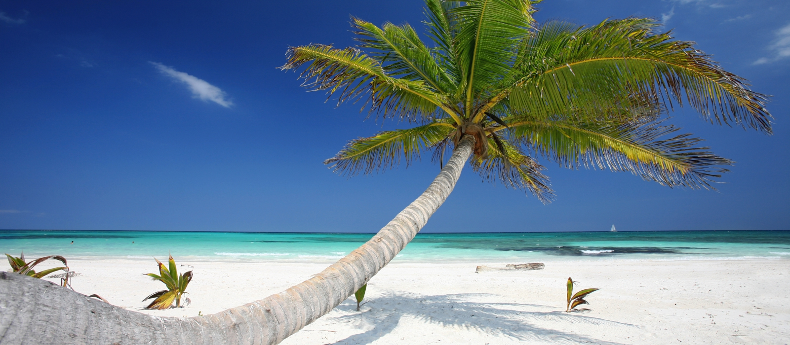 Merida And The Mayan Riviera