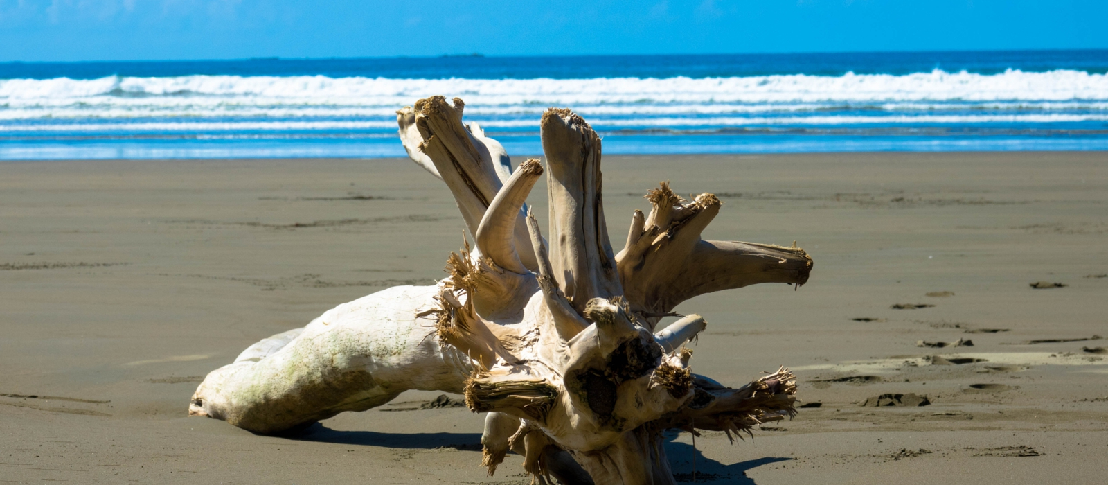 Mystical Costa Rica Honeymoon