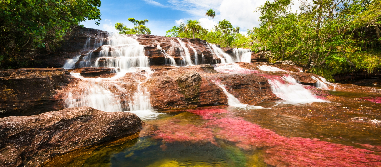 NATURALLY COLOMBIA