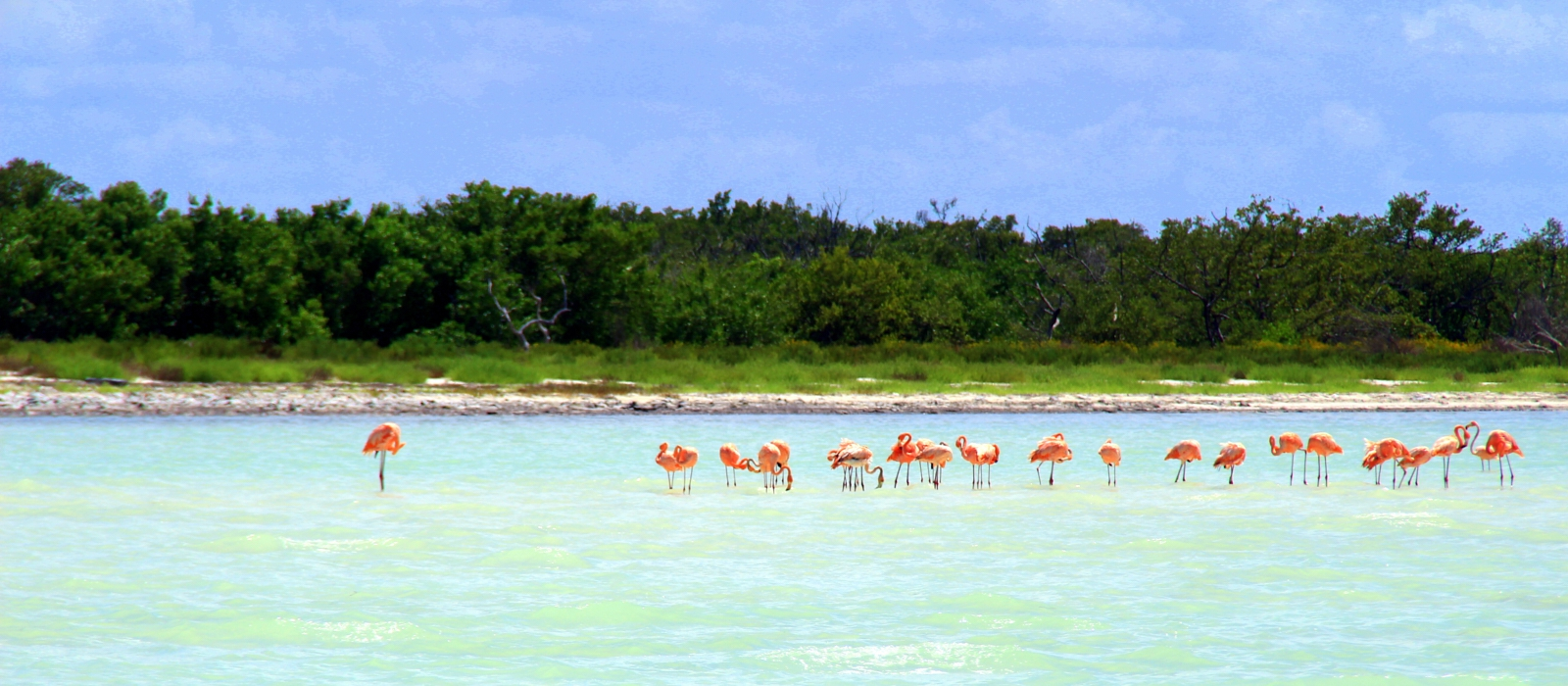 Off The Beaten Track Yucatan