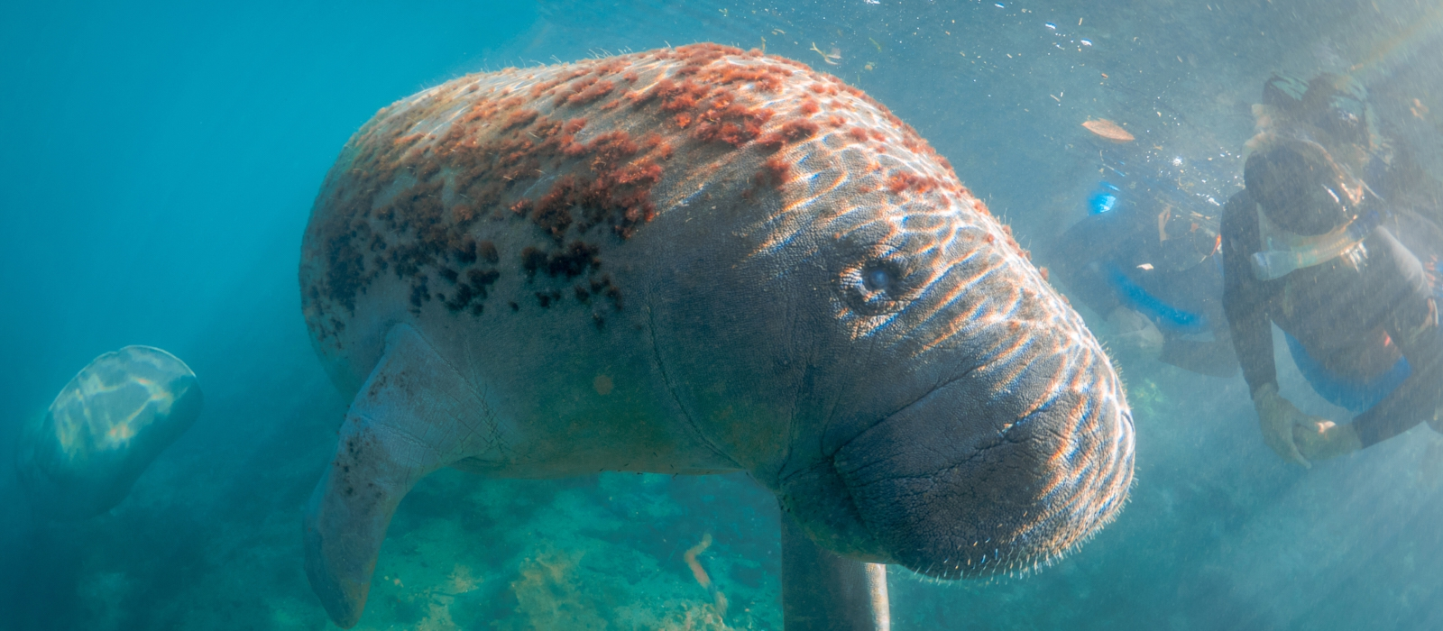 Quintana Roo Adventure