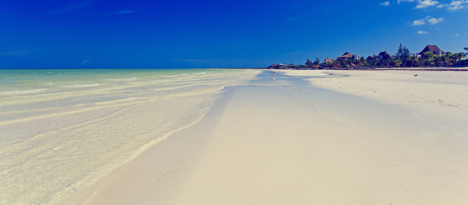 Romance In Yucatan