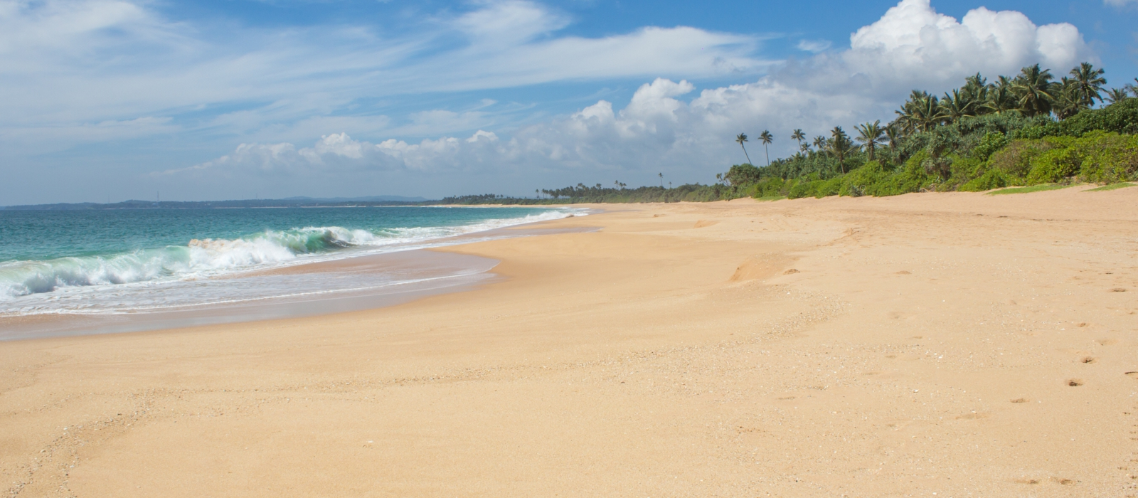 THE BEST OF PANAMA