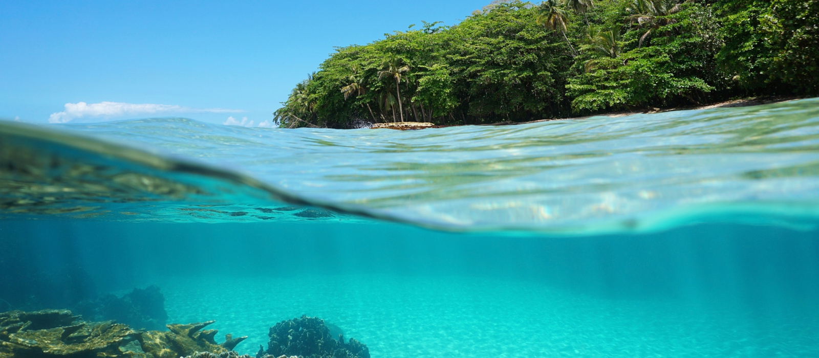 The Caribbean to The Pacific Ocean