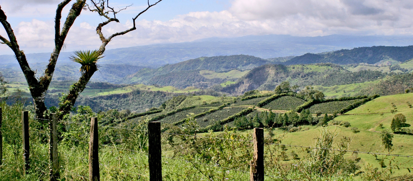 TREASURES OF PANAMA