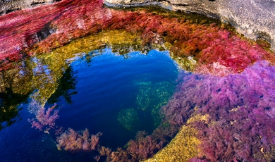 4 Day Caño Cristales Add-On