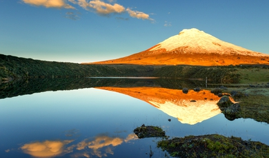 7 Day Best Of Ecuador