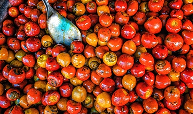 Brazil- Secrets And Spices