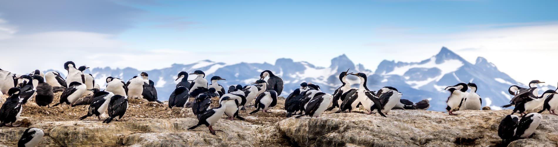 A GUIDE TO USHUAIA