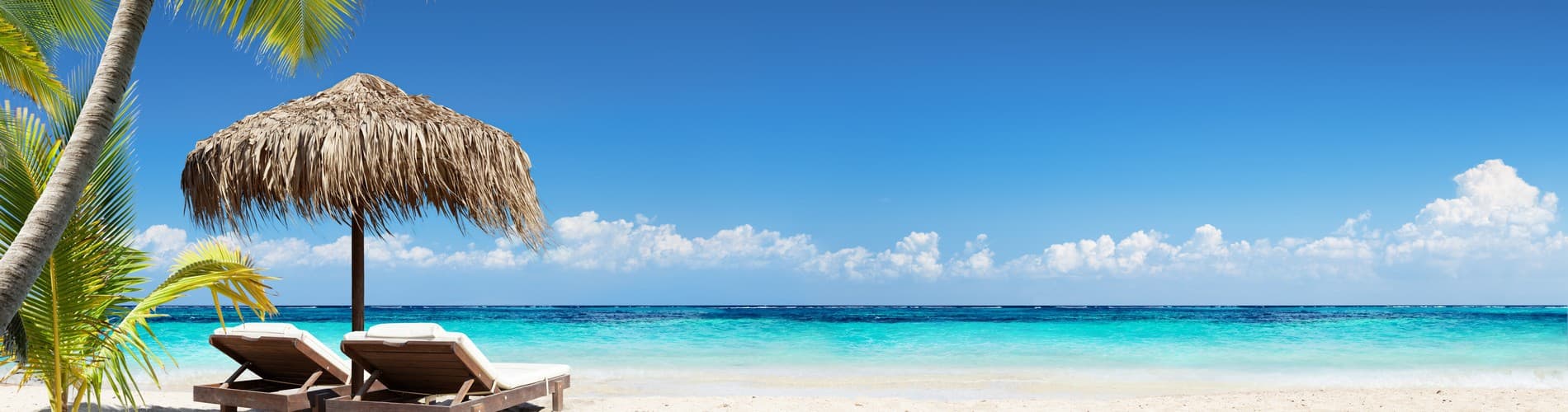 BEACHES ABOUND TOUR