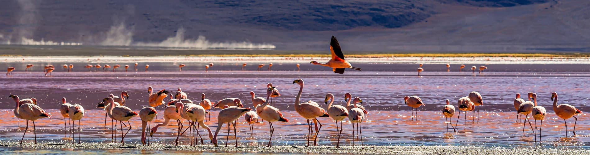 FAQs ABOUT BOLIVIA