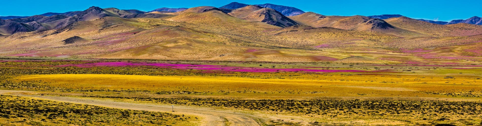 THE BEST TRIP TO CHILE
