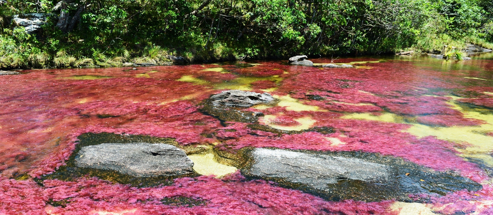 4 DAY CAÑO CRISTALES ADD-ON
